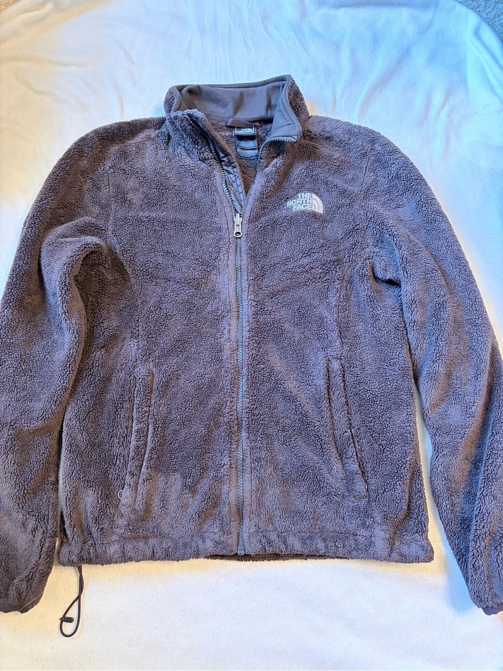 The North Face Full-Zip Plush Fleece Jacket in Brown